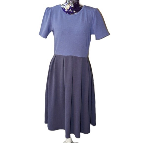 LuLaRoe Large Purple color block Amelia fit flare dress with pockets and zipper - Picture 1 of 5